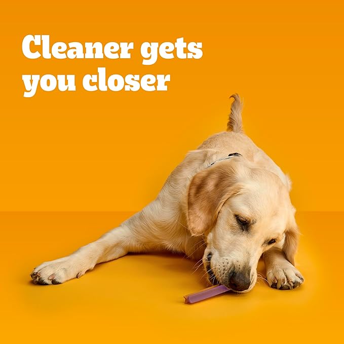 Pedigree Dentastix Dual Flavor Large Breed Dog Treats, Bacon & Chicken, 1.47 lb. Bag (32 Treats)