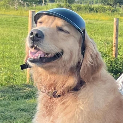 LESYPET Dog Helmet for Large Dogs, Pet Helmet Ear Hole Adjustable Strap Pet Hat Safety Helmets for Outdoor Motorcycling Driving, Large