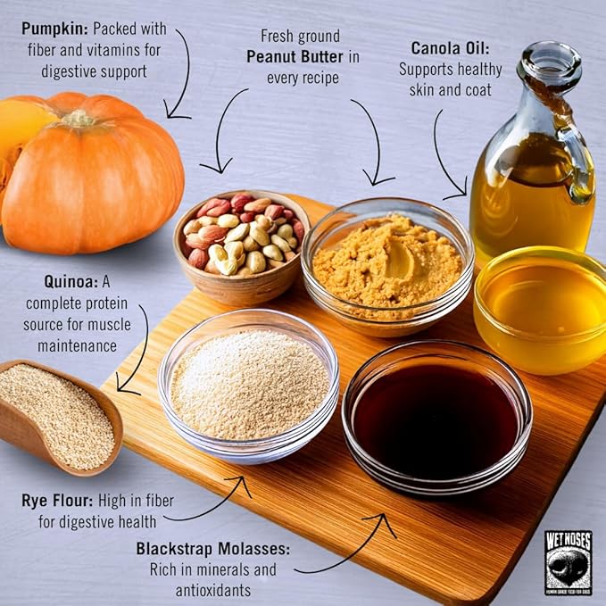 Organic Crunchy Dog Treats – for All Pet Sizes, Breeds – All-Natural Puppy Treat, Senior Dog Snack – 100% Human-Grade – Delicious Chews for Dogs – Pumpkin & Quinoa, 14 Oz (2-Pack)