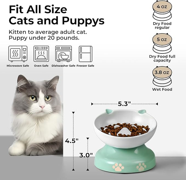 Y YHY Slow Feeder Cat Bowl, Ceramic Elevated Cat Bowl Tilted Design Slow Feeder for Dog and Cat for Dry and Wet Food, Green