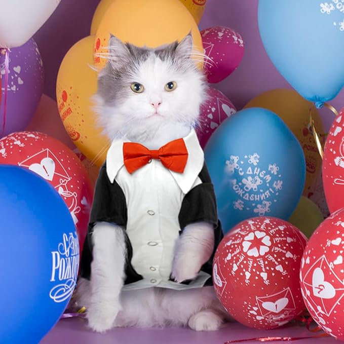 QBLEEV Cat Tuxedo Suit, Sphynx Cat Suit for Cat with Two Bow Tie, Cat Tuxedo Outfit for Birthday Photo Shoot, Formal Onesie Attire Wedding Costumes for Kitten, Male Cat Clothes for Hairless Cats Only