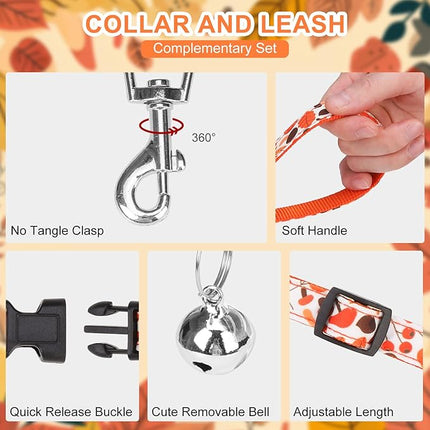 EXPAWLORER Thanksgiving Autumn Puppy Harness - Dog Collar and Leash - Soft Mesh Padded Adjustable Step in Small Dog Vest Harness No Pull, Reflective Escape Proof for Outdoor Walking, Orange M