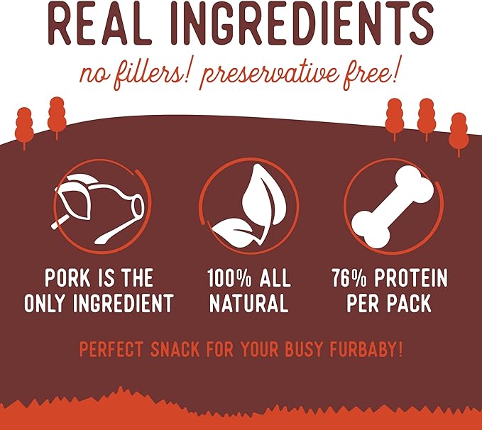 Beg & Barker Pork Jerky for Dogs (4 oz, Pack of 1) - Dog Training Treats - Natural Dog Treats Made in The USA - Grain Free, Diabetic-Friendly, High Protein, Sugar-Free (Pork Dog Jerky)