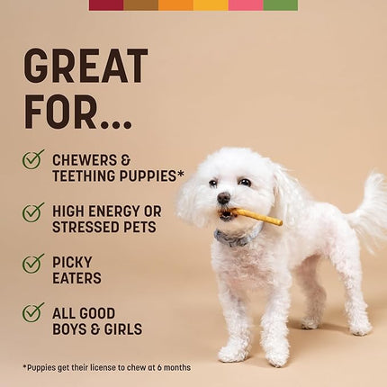 Earth Animal No Hide Stix - Long Lasting Rawhide Free Small Dog Chews Sticks, Pork - 10 Count