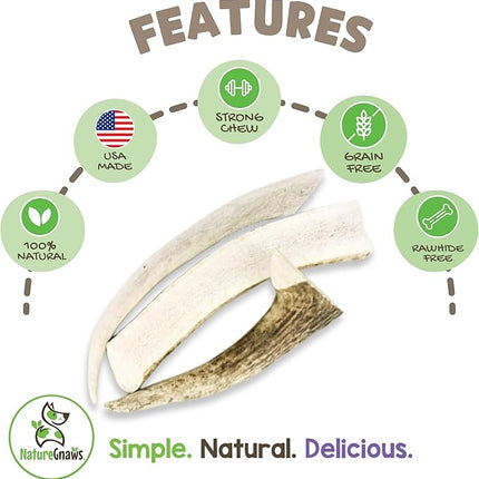 Nature Gnaws USA Elk Antlers for Dogs 5-8" (3 Count) - Mix of Split and Whole Pieces - Long Lasting for Aggressive Chewers - Natural Dog Chew Bones