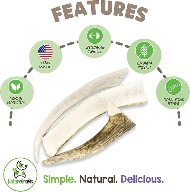 Nature Gnaws USA Elk Antlers for Dogs 5-8" (1 Count) - Long Lasting for Aggressive Chewers and Large Breeds - Natural Dog Chew Bones