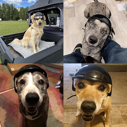 LESYPET Dog Helmet for Large Dogs, Pet Helmet Ear Hole Adjustable Strap Pet Hat Safety Helmets for Outdoor Motorcycling Driving, Large
