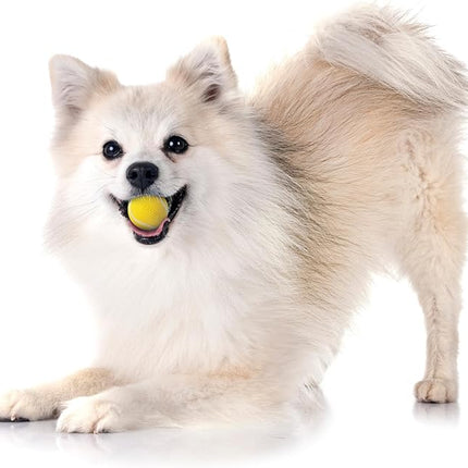 Playology Dog Toys | Squeaky Chew Ball - Bouncy Durable Floating Fetch Ball for Dogs, Value 3-Pack | Small Chicken Scented Toy - Easy to Clean and Made from Non Toxic Materials