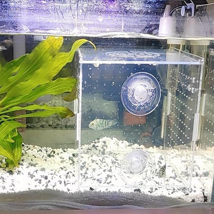 Acrylic Fish breeding Box, Acrylic Fish Isolation Box, Fish Separator for Aquarium, Hatchery Incubator with Suction Cups for Small Baby Fishes Shrimp Clownfish Guppy (5.9 * 5.9 * 5.9inch)