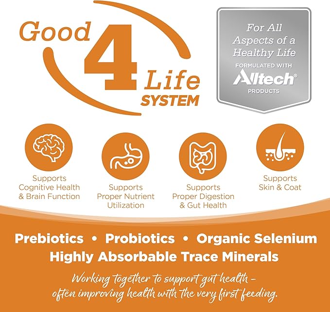 NutriSource Adult Dry Dog Food, Lamb Meal and Rice, 4LB