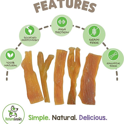 Nature Gnaws Beef Tendons for Dogs (1Lb) - Mixed Thickness - Long Lasting for Small and Medium Dogs - Natural Beef Jerky Dog Chew Bones - Rawhide Free