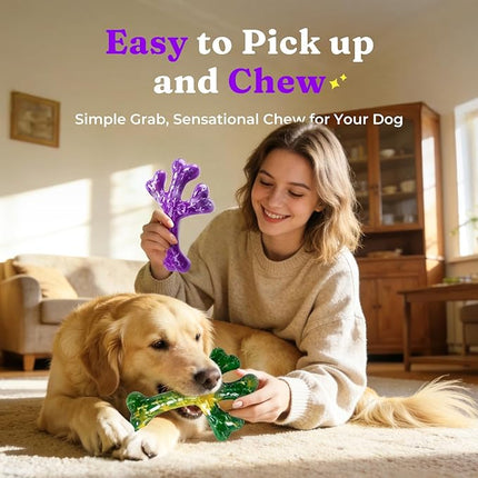 Dog Toys for Aggressive Chewers - 2 Pack Beef Bacon Flavor Tough Dogs Chew Toys, Indestructible Toy for Medium Large Dogs Gift