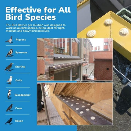 Bird Barrier Optical Gel Bird Deterrent – 200 Pack All-Natural Bird Gel – Deters Most Species Including Pigeons, Woodpeckers, Gulls, Crows, Starlings – Ideal for Ledges, Balconies, Signs, Equipment