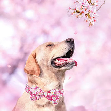 Elegant little tail Dog Collar, Floral Pattern Pet Collars with Bow Girl Cotton Bowtie Collars Spring Puppy Gift Adjustable Pet Collar for Small Dogs