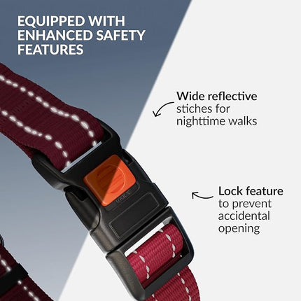 CollarDirect Martingale Dog Collar with Stainless Steel Chain and Quick Release Buckle - Reflective Collar for Large, Medium, Small Dogs - Dark Red, Large (Neck Size 17"-22")