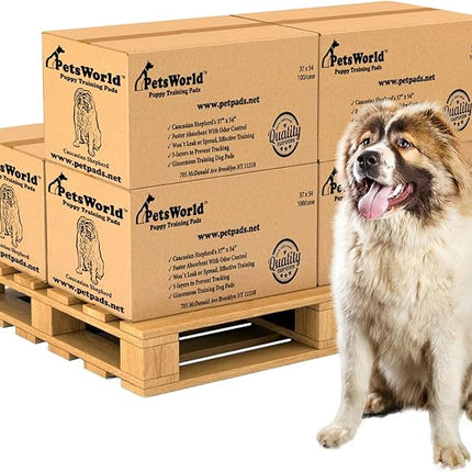 PETSWORLD Enormous Dog Training & Potty Pads, 37x54 inch - Tear Resistant with Strong Leak-Proof Backing, Optional Adhesive Tape, 600 Count