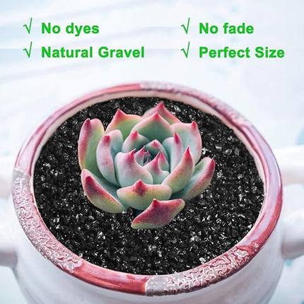 5lb Succulents and Cactus Black Sand, Décor & Additive Tiny Stones,DIY Rocks Gravel for Bonsai, Fairy Gardening, Terrarium, Vases Fillers
