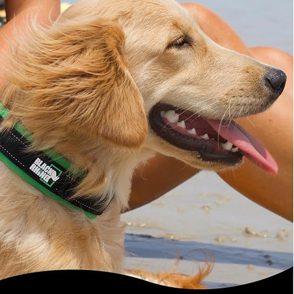 Black Rhino Dog Collars for Small Dogs - Adjustable Reflective Heavy Duty Dog Collar with Ultra-Soft Neoprene Padding - Weatherproof, Durable, and Comfortable for Active Dogs - Green and Black