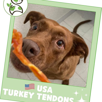 Nature Gnaws USA Turkey Tendons for Dogs (1Lb) - Delicious Grain Free Reward Snack for Small, Medium & Large Breeds - Premium Natural Dog Chew Treats