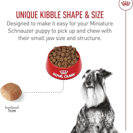 Royal Canin Breed Health Nutrition Miniature Schnauzer Adult Dry Dog Food, 10 lb Bag