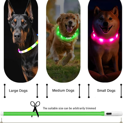 Light Up Dog Collar, Rechargeable Glowing Dog Collar, Light Dog Collar for Night Walking with 1640 FT of Visibility - Brightest LED Dog Collar Light, 3 Flashing Modes, Keeps Your Pets Safe in The Dark