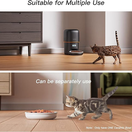 Automatic Cat Feeder - 2L Cat Food Dispenser, Timed Auto Pet Feeder with 180-day Battery Life, 1-6 Meals Per Day, 1-16 Portion, Ceramic Bowl, Desiccant Bag Keeps Dry Food Fresh, Also for Small Dogs