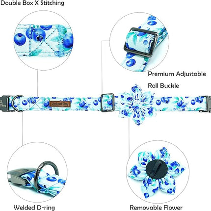 Lionheart glory Dog Collar with Flower Blueberries Print Collars for X-Small Dogs, Spring Summer Cute Duty Adjustable Dog Flowers Collar Puppy Collars Bows Pet Gift