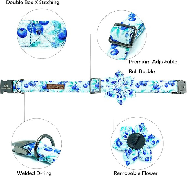 Lionheart glory Dog Collar with Flower Blueberries Print Collars for X-Small Dogs, Spring Summer Cute Duty Adjustable Dog Flowers Collar Puppy Collars Bows Pet Gift