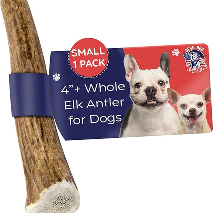 Devil Dog Pet Co. Elk Antlers for Dogs, Small 4"+, 1 Pack, Grade A Long Lasting Chew for Aggressive Chewers, Premium USA Naturally Shed Antler – Healthy, No Odor, Durable Dog Chew