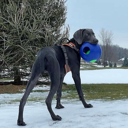 Jolly Pets Teaser Ball Dog Toy, Large/8 Inches, Blue, Model Number: 1508 BL