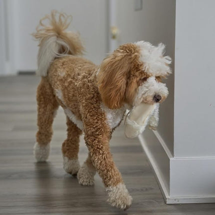 SPOT Skinneeez Crinklers Lamb - Stuffing-Free Dog Toy with Crinkle & Squeaker Sounds, Durable for Moderate Chewers, Tug Toy for Small Dogs & Puppies, 14in