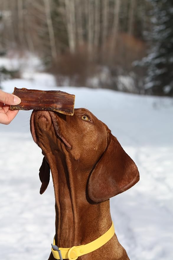 Cadet 100% Beef Strip Long Lasting Chews for Dogs, Single Ingredient Beef Esophagus Dog Treats, Natural High Protein Rawhide Alternative for Small & Large Dogs, 8 Ounce