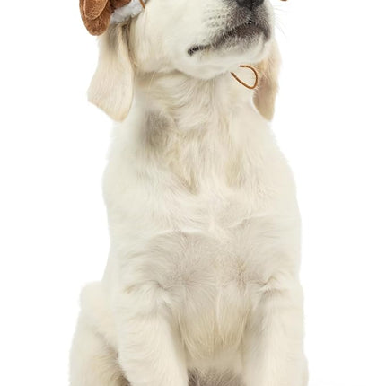 Huxley & Kent Pet Hat | Turkey Tester (Extra-Large) | Fun Thanksgiving Holiday Hat for Dogs/Cats | Cute, Comfortable and Fun | SnugFit Strings for Best Fit