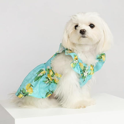 Fitwarm Lemon Dog Dress, Dog Clothes for Small Dogs Girl, Pet Cat Apparel, Teal Blue, Yellow, Green, Small