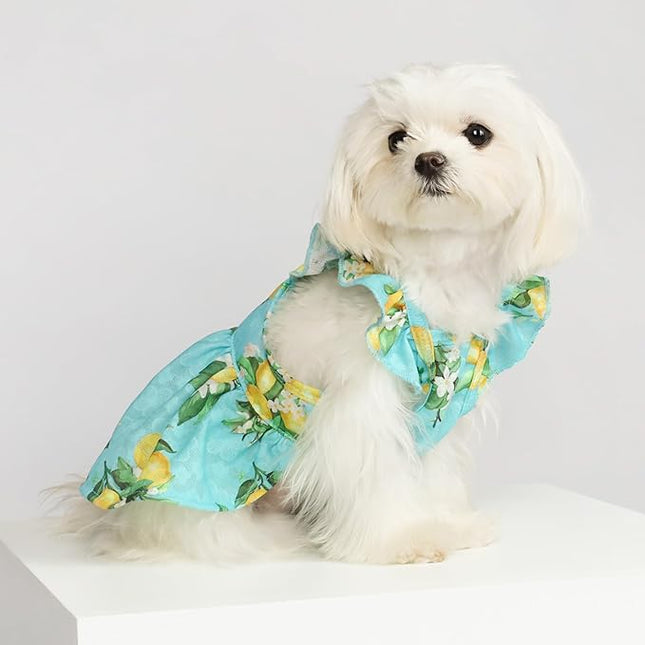 Fitwarm Lemon Dog Dress, Dog Clothes for Small Dogs Girl, Pet Cat Apparel, Teal Blue, Yellow, Green, Medium