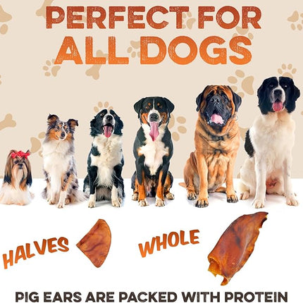 BRUTUS & BARNABY Pig Ear Halves for Dogs, 40 Ct. – All-Natural Single Ingredient Dog Chews, Slow Cooked & Fully Digestible Rawhide Alternative