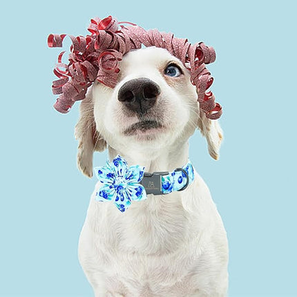 Lionheart glory Dog Collar with Flower Blueberries Print Collars for X-Small Dogs, Spring Summer Cute Duty Adjustable Dog Flowers Collar Puppy Collars Bows Pet Gift