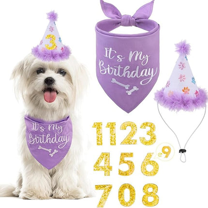 BINGPET Dog Birthday Bandana Scarf and Reusable Hat with 0-8 Figures,Cute Puppy Dog Birthday Outfit Party Supplies Gift for Small Medium Large Dogs Girl(Large)