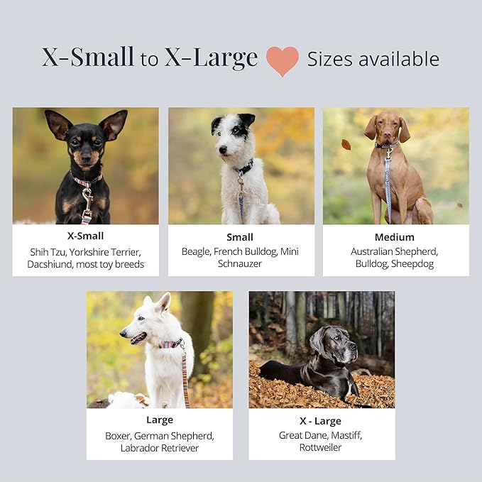 Lucky Love Dog Collars, Comfortable, Soft, Cute Female Dog Collar for Small Medium Large Dogs, SOCO, XS