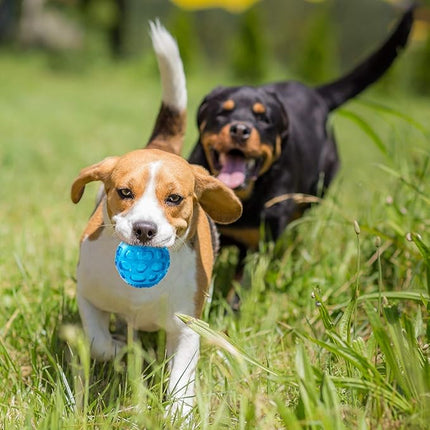 3'' Squeaky Dog Toy Balls for Lagre Medium Breed, Indestructible Dog Balls for Playing, Fetching & Retrieving, Durable Aggressive Chewers, 2 PCS Green+Purple