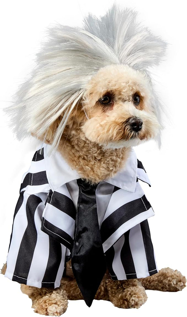 Beetlejuice: Beetlejuice Pet Costume for For Dogs or Cats by Rubies, Medium