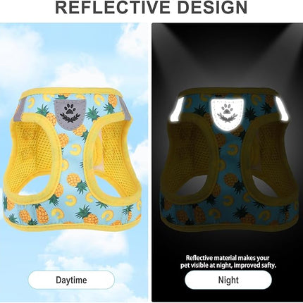 EXPAWLORER Small Dog Harness and Leash Set - Cute Puppy Harness Leash Dog Collar with AirTag Holder Silicone Case, Soft Padded Step in Pet Vest Reflective for Outdoor Walking, Pineapple S