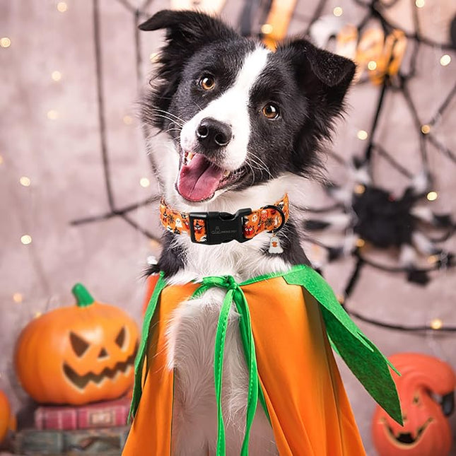 ARING PET Halloween Dog Collar, Ghost Pumpkin Spider Web Skeleton Pet Collars for Small Medium Large Girl Boy Dogs Puppy Collar with Quick Release Buckle-XL Size