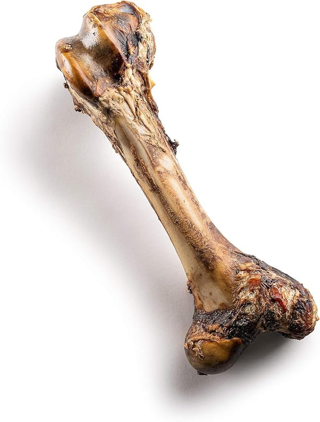 Jack&Pup Mammoth Big Dog Bones for Large Dogs, 15" Femur Beef Bones for Agressive Chewers, Natural Giant Dog Bone (1 Pack)