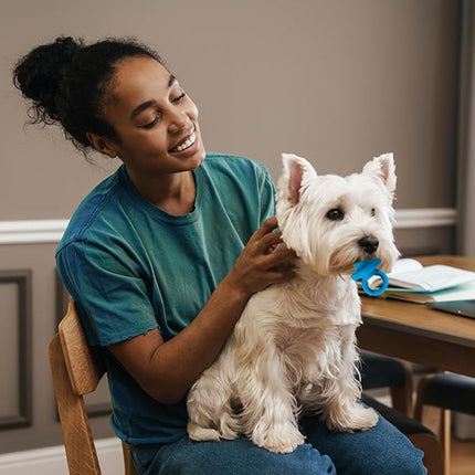 SPOT Puppy Pacifier Latex Dog Toy – Cute Binky-Shaped Chew Toy for Teething Puppies & Small Dogs, Best for Light Chewers, Durable & Non-Toxic with Squeaker, 4.5” – Assorted Colors