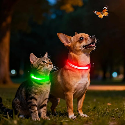 Light up Collar for Small Dog,Vizpet XS Adjustable Size Nylon Collar USB Rechargeable Bright Safety Pet Collar for Cats Small Dogs(Red, X-Small[ 8.66-11.9 inch/22cm-30cm])