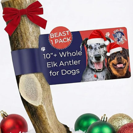 Devil Dog Pet Co. Elk Antlers for Dogs, Beast 10"+, 1 Pack, Grade A Long Lasting Chew for Aggressive Chewers, Premium USA Naturally Shed Antler – Healthy, No Odor, Durable Dog Chew