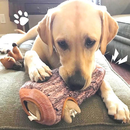 IFOYO Squirrel Hide and Seek Dog Toy, Squeaky Interactive Dog Toys for Boredom, Plush Dogs Toys to Keep Them Busy, Relive Anxiety, Attract Attention, Puzzle Toy for Smal and Medium Dogs