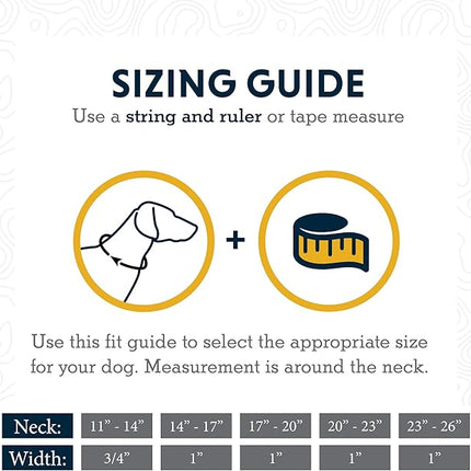 Ruffwear, Web Reaction Dog Collar, Escape-Proof Security Buckle, Adjustable Anti-Slip Martingale Collar with Durable Nylon Tubelok Webbing & Silent ID Attachment, Granite Gray, 23"-26"