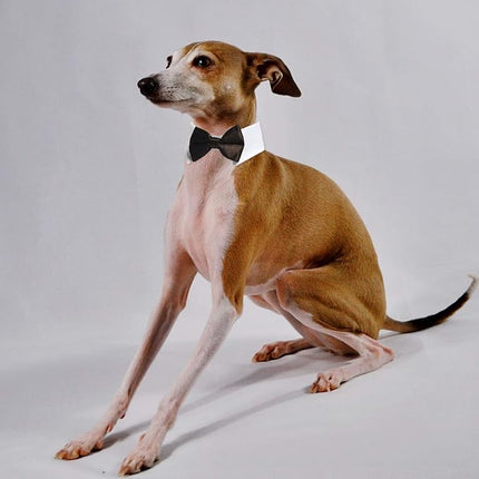 Dog Bow Tie, KOOLMOX Pet Bowtie Collar Black, Adjustable White Pet Tuxedo Collar with Black Dog Neck Bow Tie for Medium Large Boy Dogs Wedding Formal Tuxedo Suit Tux Outfits Birthday Costumes